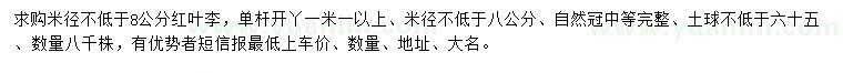 求購米徑不低于8公分紅葉李