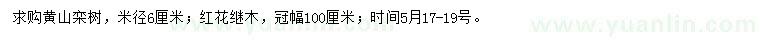 求購(gòu)黃山欒樹、紅花繼木
