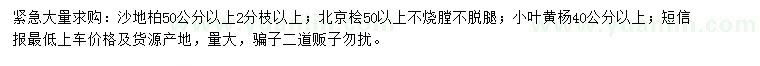 求購沙地柏、北京檜、小葉黃楊