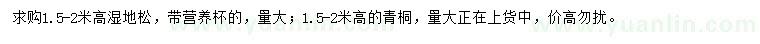 求購濕地松、青桐