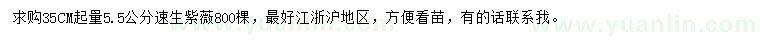 求購(gòu)35公分起量5.5公分速生紫薇