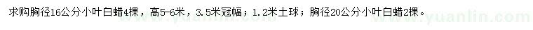 求購(gòu)胸徑16、20公分小葉白蠟