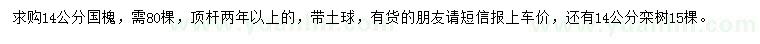求購(gòu)14公分國(guó)槐、欒樹(shù)