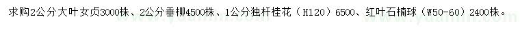 求購大葉女貞、垂柳、獨桿桂花等