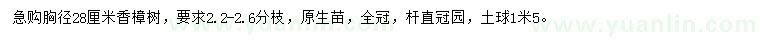 求購胸徑28公分香樟樹