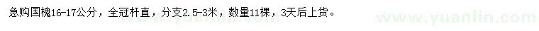 求購16-17公分國槐