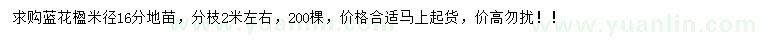 求購(gòu)米徑16公分藍(lán)花楹地苗