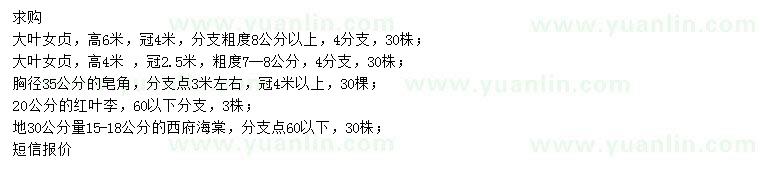 求購大葉女貞、皂角、紅葉李等