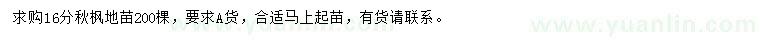求購16公分秋楓地苗