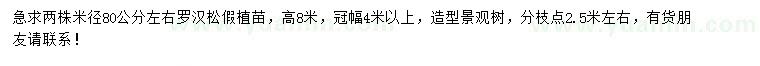 求購(gòu)米徑80公分左右羅漢松假植苗