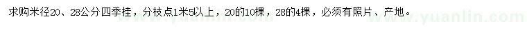 求購米徑20、28公分四季桂