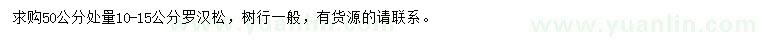 求購(gòu)50公分處量10-15公分羅漢松