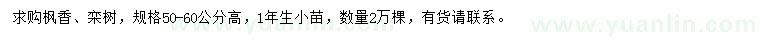 求購高50-60公分楓香、欒樹