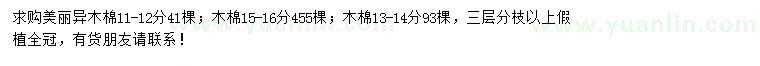 求購美麗異木棉、木棉