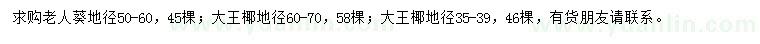 求購老人葵、大王椰