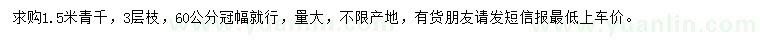 求購1.5米青千云杉