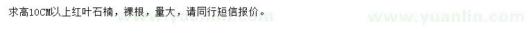求購10公分以上紅葉石楠
