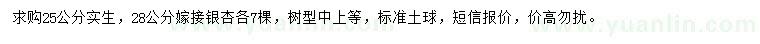 求購(gòu)銀杏