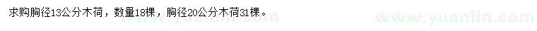 求購胸徑13公分木荷