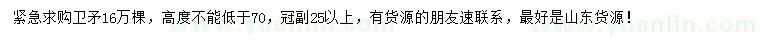 求購(gòu)高度不能低于70公分衛(wèi)矛
