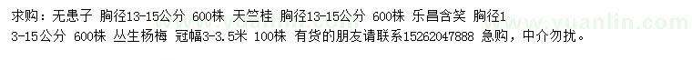 求購無患子、天竺桂、樂昌含笑等