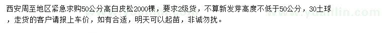 求購高50公分白皮松