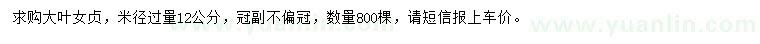 求購米徑過量12公分大葉女貞