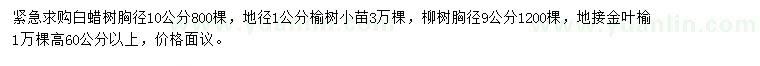 求購白蠟、榆樹、柳樹等