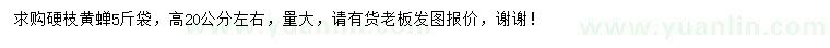 求購(gòu)高20公分左右硬枝黃蟬