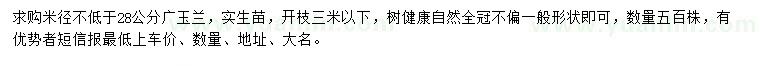 求購米徑不低于28公分廣玉蘭