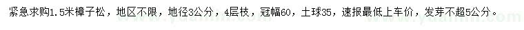 求購(gòu)1.5米樟子松