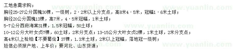 求購國槐、西府海棠、大葉女貞等