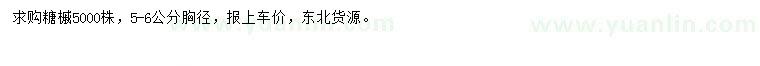 求購胸徑5-6公分糖槭