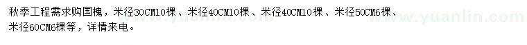 求購國槐