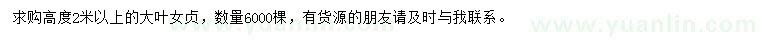 求購(gòu)高2米以上大葉女貞