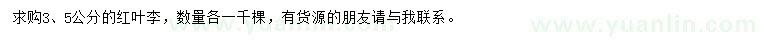 求購3、5公分紅葉李
