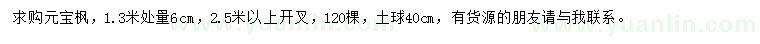 求購(gòu)1.3米處量6公分元寶楓