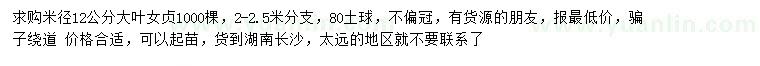 求購米徑12公分大葉女貞