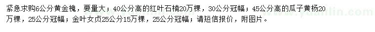 求購黃金槐、紅葉石楠、瓜子黃楊等