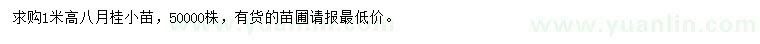 求購(gòu)高1米八月桂小苗