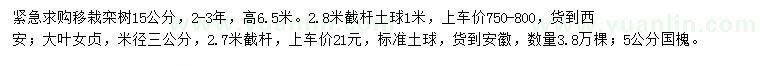 求購(gòu)欒樹、大葉女貞、國(guó)槐