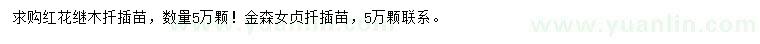 求購紅花繼木、金森女貞