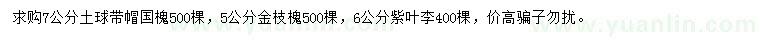 求購國槐、金枝槐、紫葉李