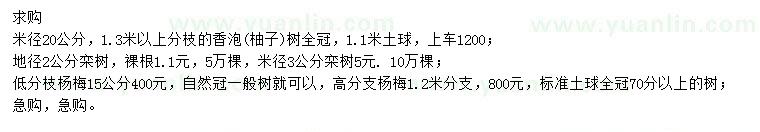 求購香泡、欒樹、楊梅