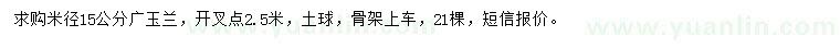求購米徑15公分廣玉蘭