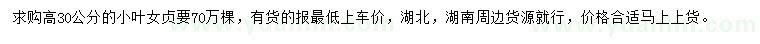 求購高30公分小葉女貞