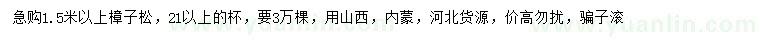 求購1.5米以上樟子松