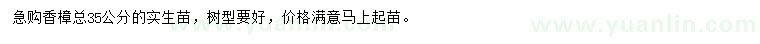 求購35公分香樟