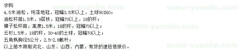 求購油松、樟子松、云杉等
