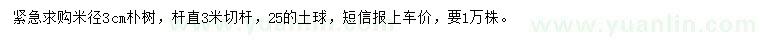 求購米徑3公分樸樹